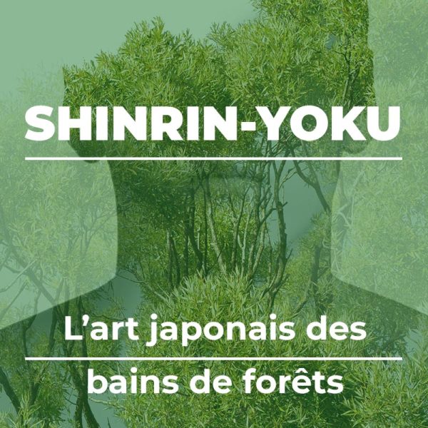 la-source-formation-shinrin-yoku-bernadette-rey-nolwenn-lecuyer